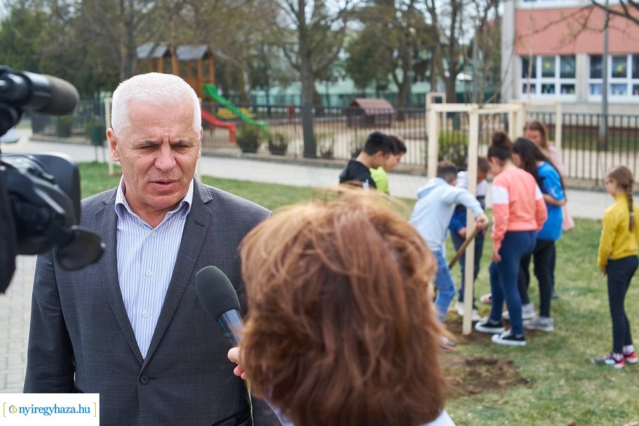 Faültetés a Móricz iskola előtt