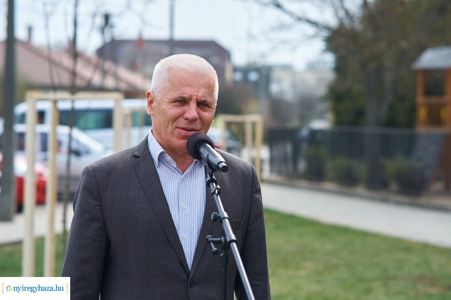 Faültetés a Móricz iskola előtt