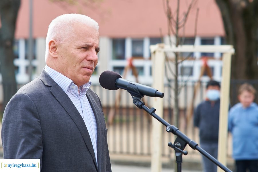 Faültetés a Móricz iskola előtt