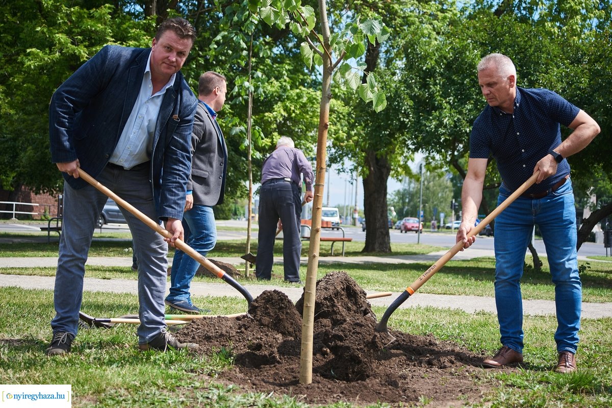 Faültetés a Pazonyi téren