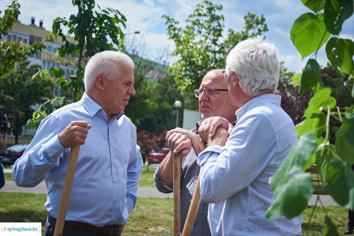 Faültetés a Pazonyi téren