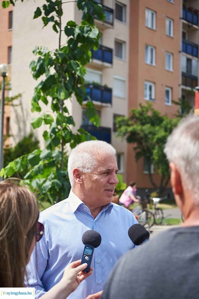 Faültetés a Pazonyi téren