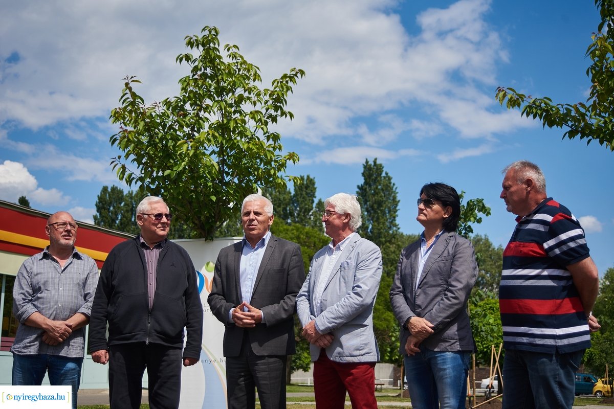 Faültetés a Pazonyi téren