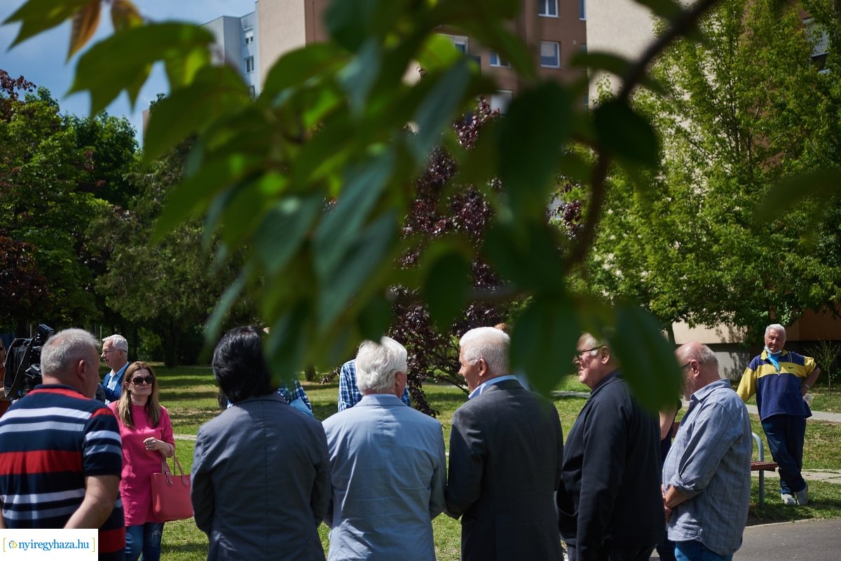 Faültetés a Pazonyi téren