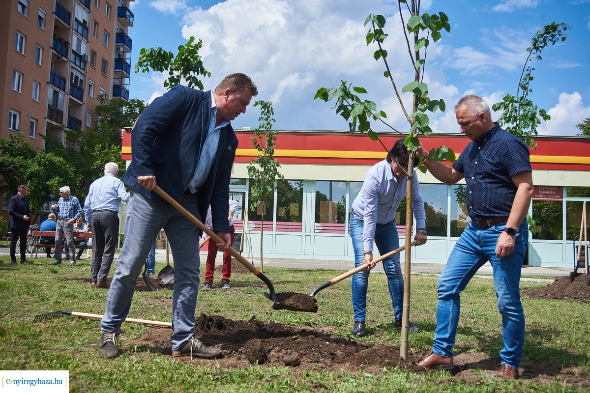 Faültetés a Pazonyi téren