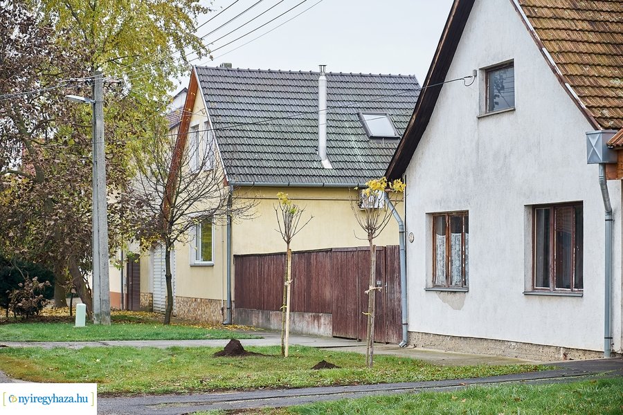 Faültetés a Rózsa utcán