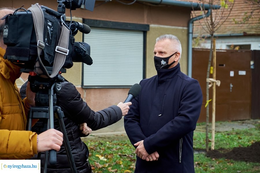 Faültetés a Rózsa utcán