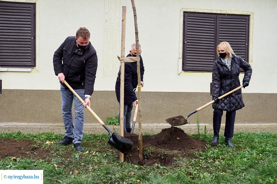 Faültetés a Rózsa utcán