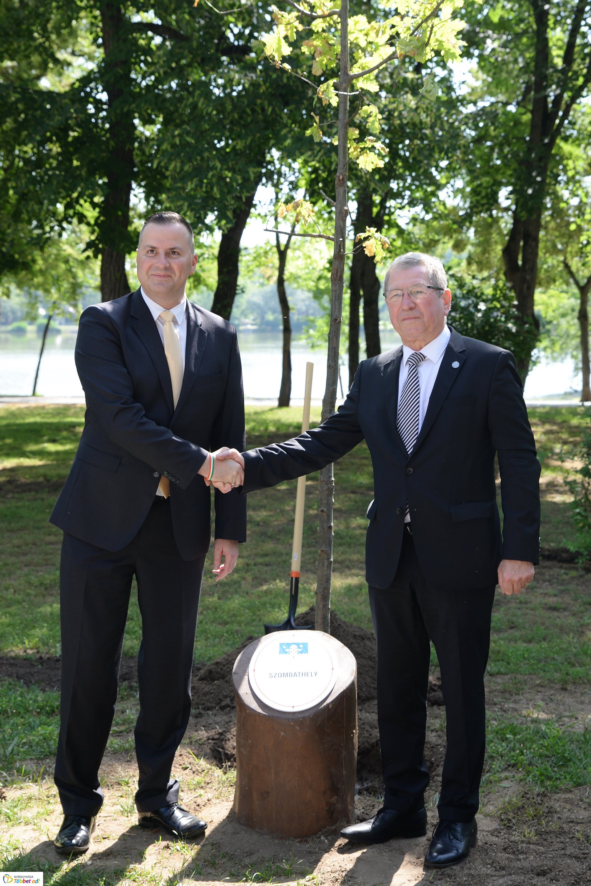 Faültetés a Sóstón