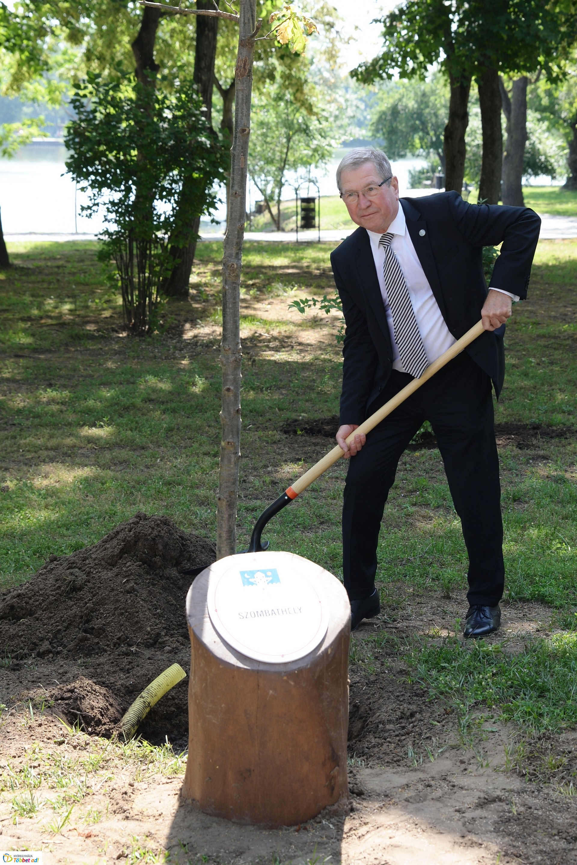 Faültetés a Sóstón