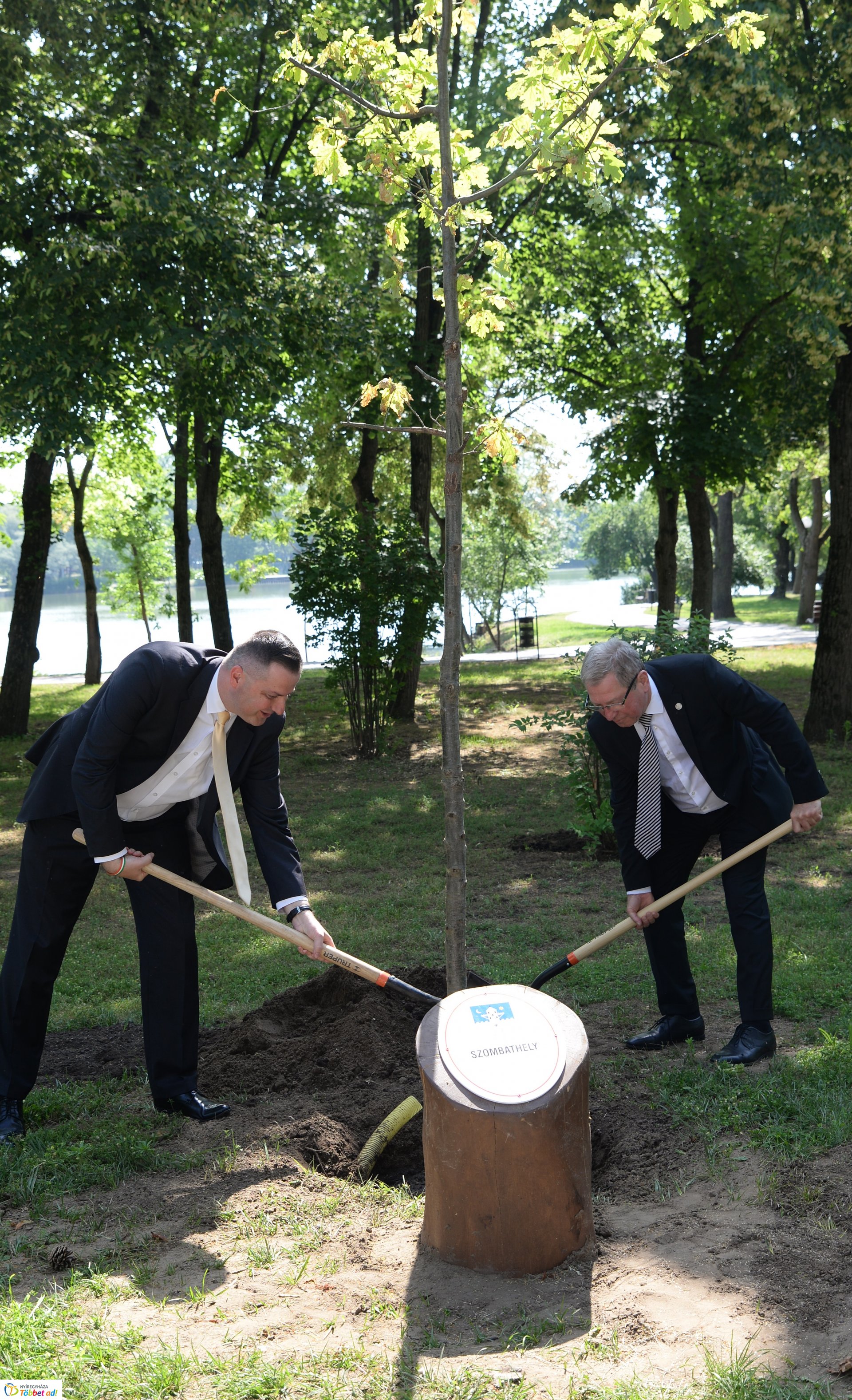 Faültetés a Sóstón