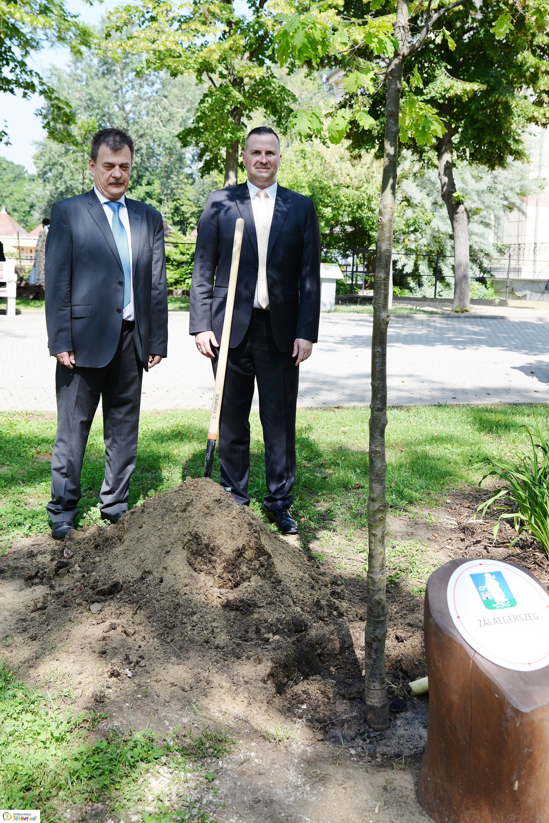 Faültetés a Sóstón