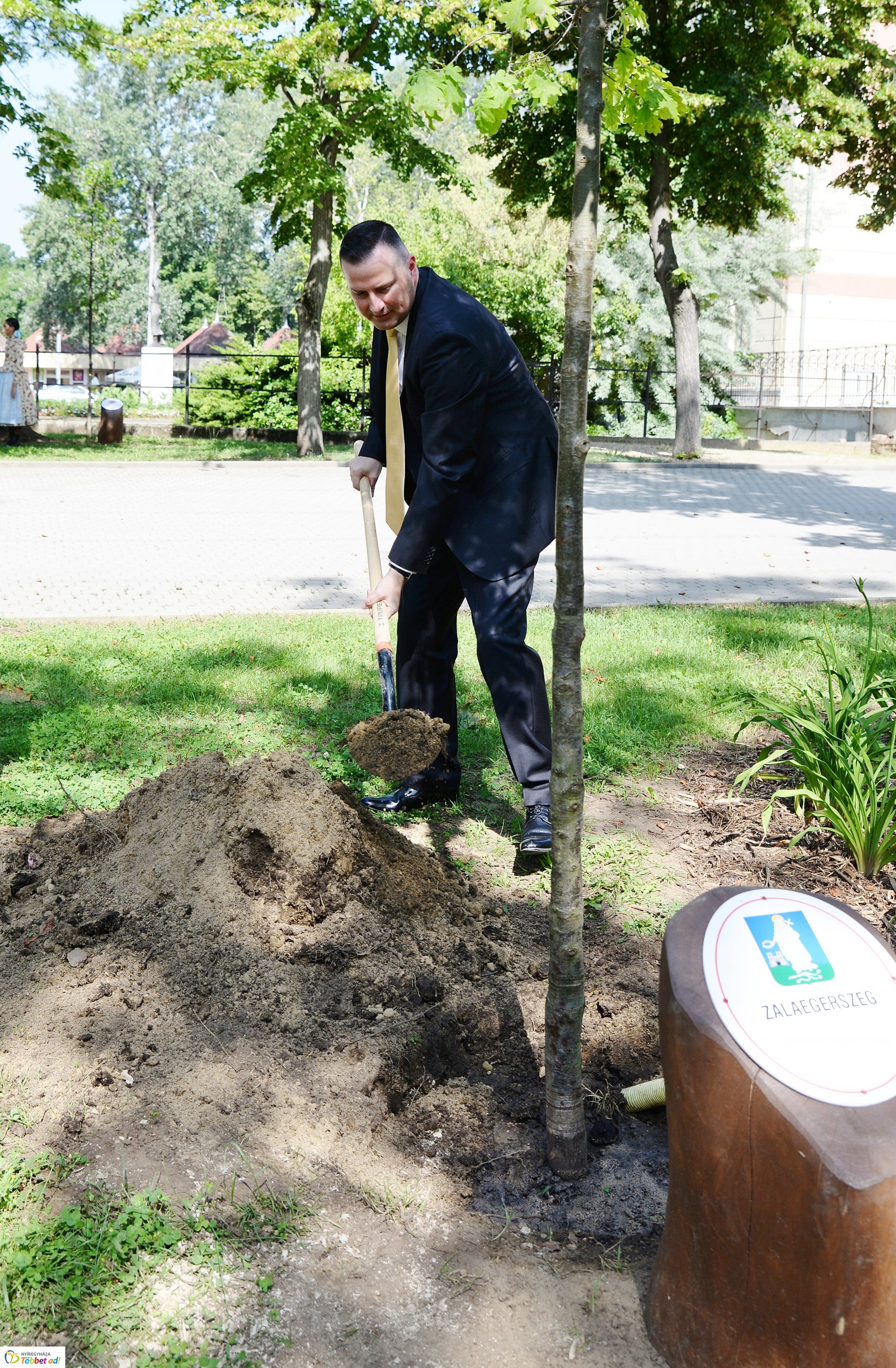 Faültetés a Sóstón