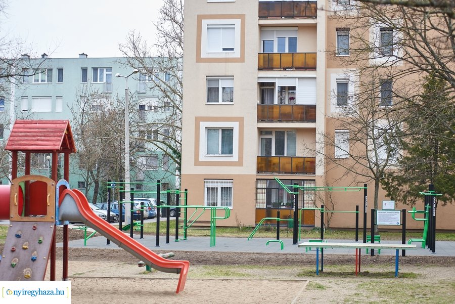 Faültetés a stadion utcán