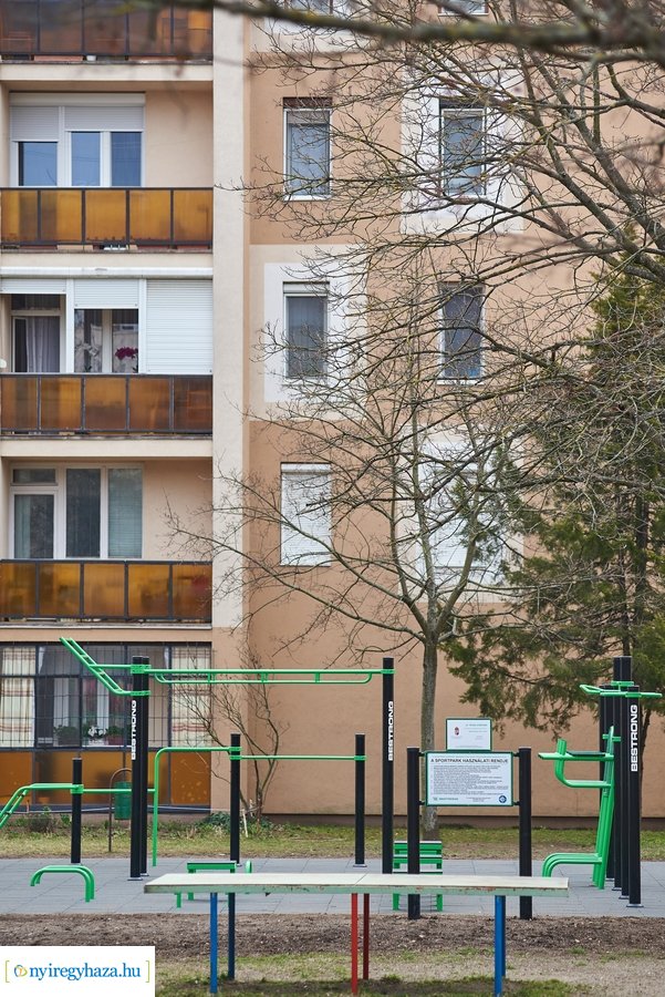 Faültetés a stadion utcán