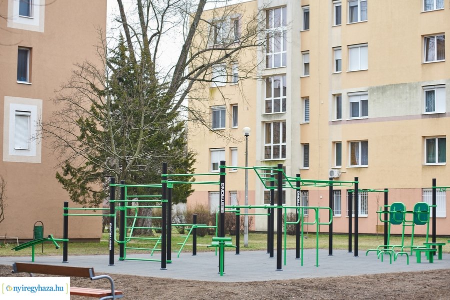 Faültetés a stadion utcán