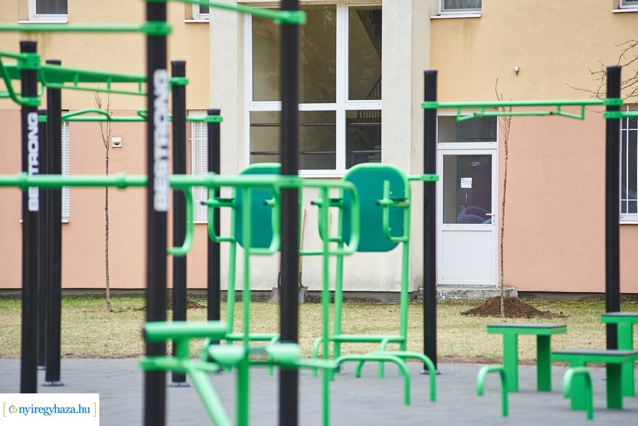 Faültetés a stadion utcán