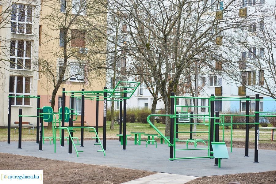 Faültetés a stadion utcán