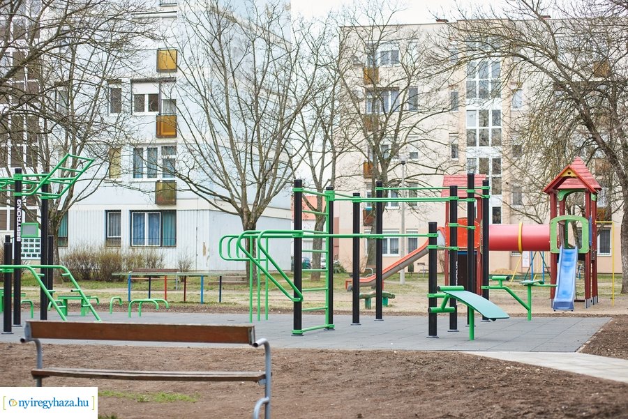 Faültetés a stadion utcán