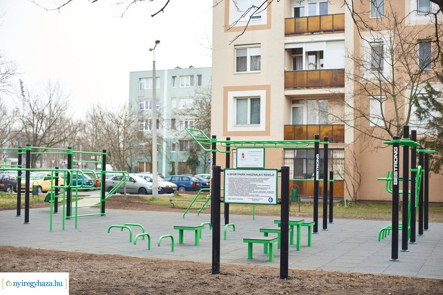 Faültetés a stadion utcán