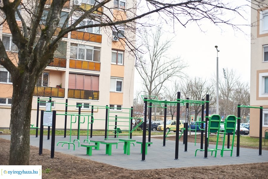 Faültetés a stadion utcán