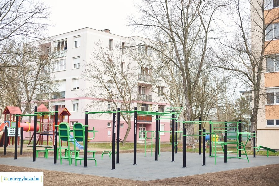 Faültetés a stadion utcán