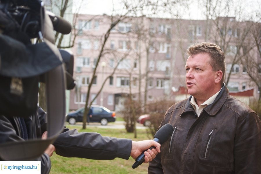 Faültetés a stadion utcán