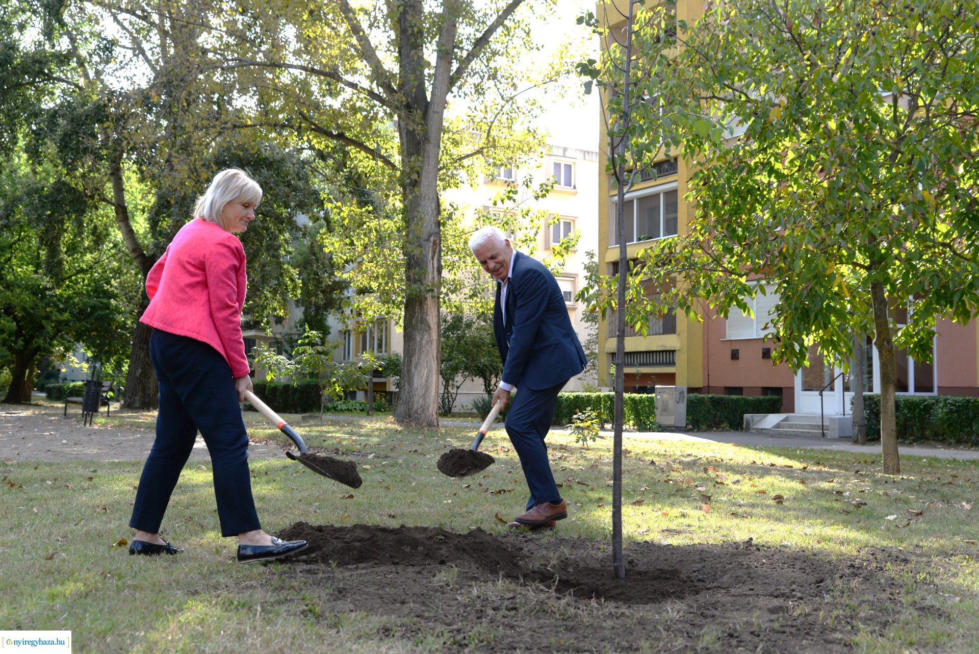 Faültetés a Szántó Kovács János utcai játszótéren