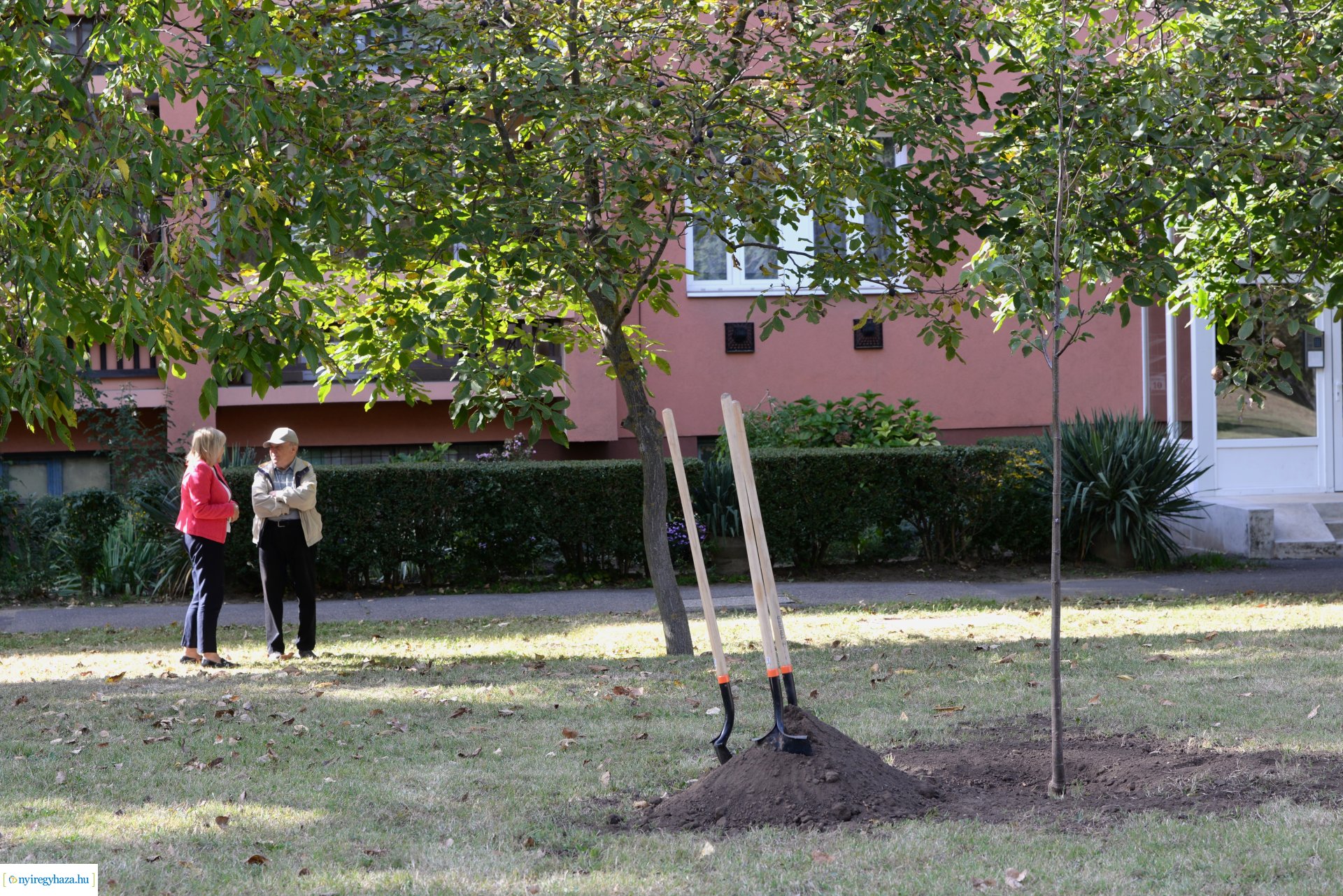 Faültetés a Szántó Kovács János utcai játszótéren