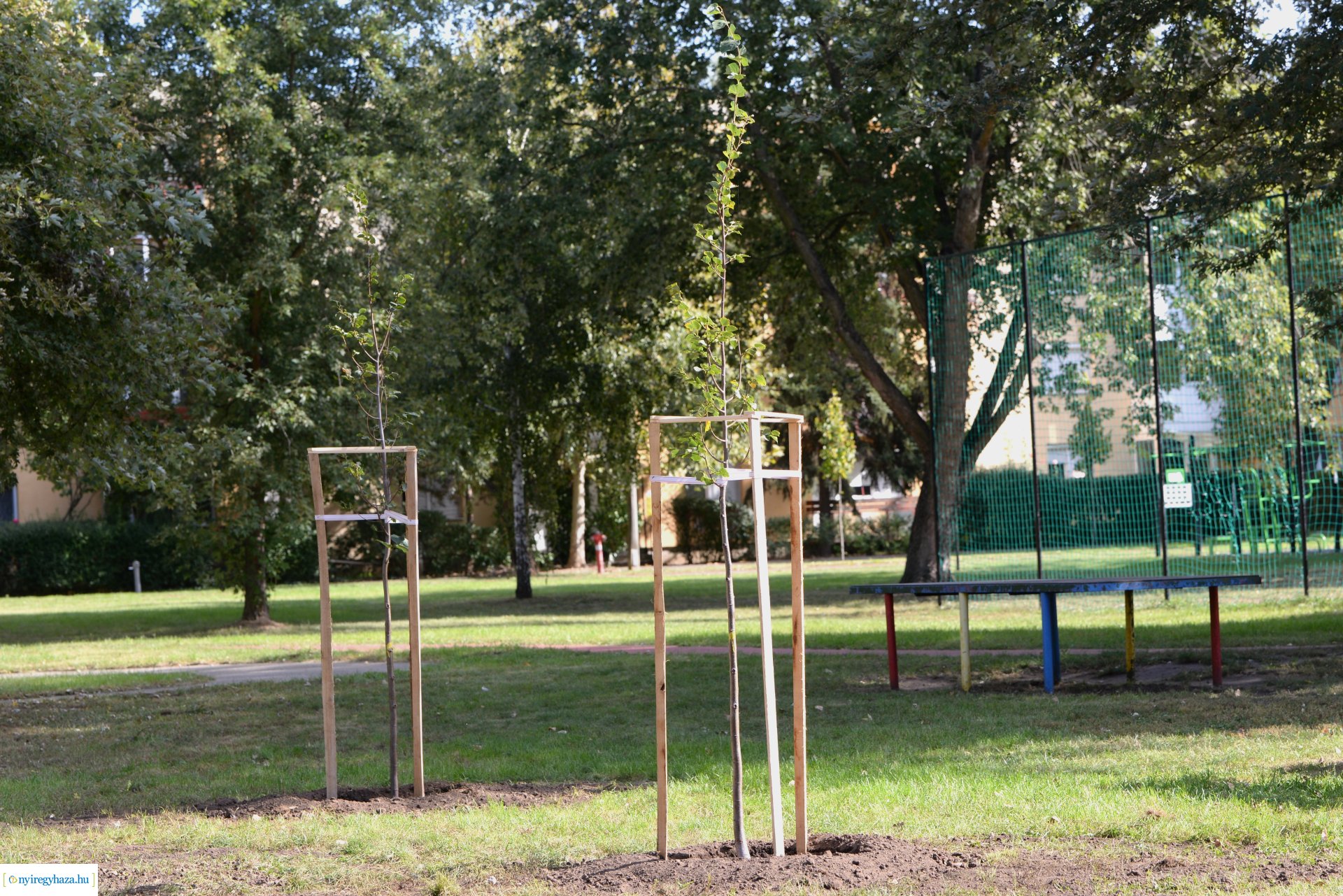 Faültetés a Szántó Kovács János utcai játszótéren