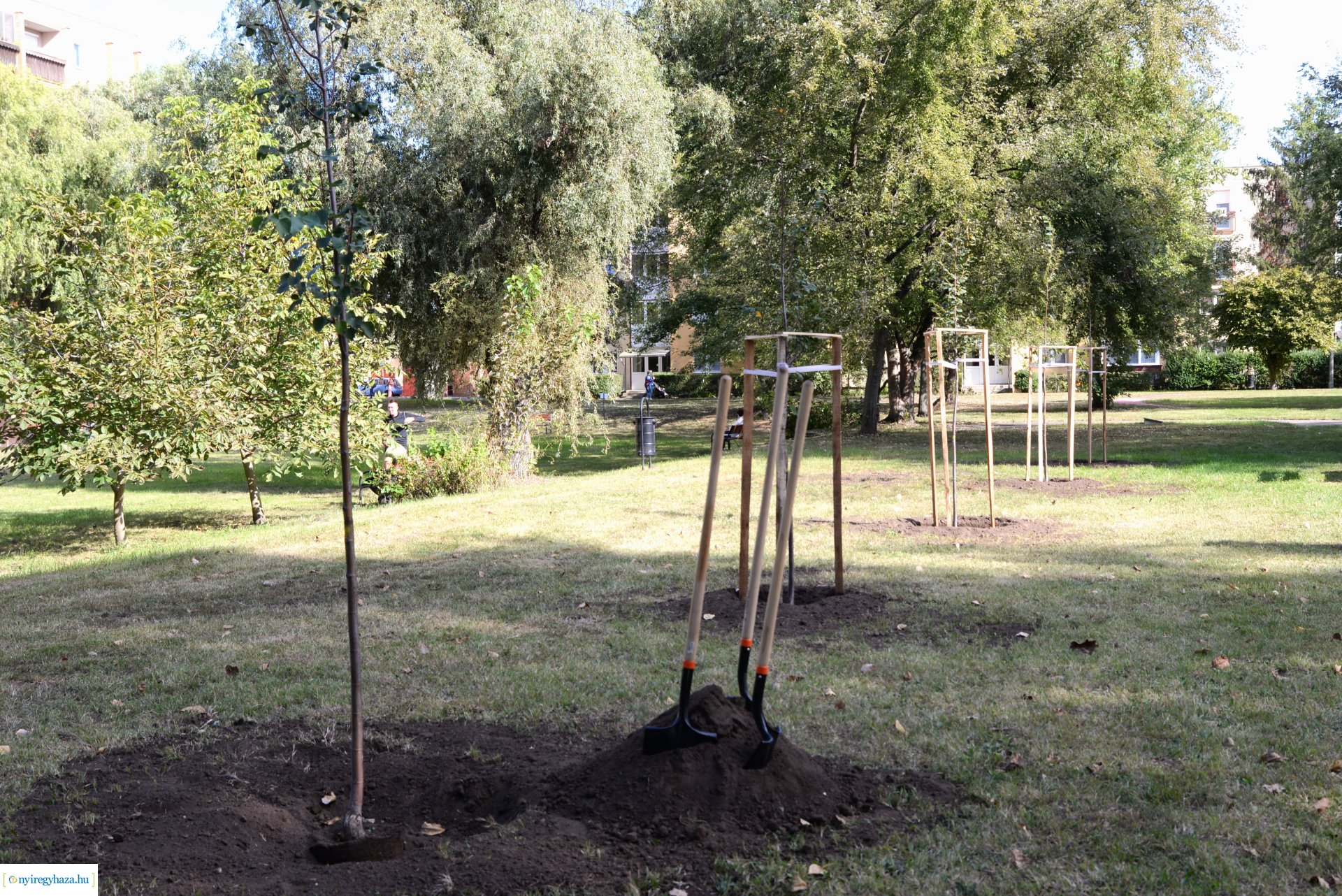 Faültetés a Szántó Kovács János utcai játszótéren