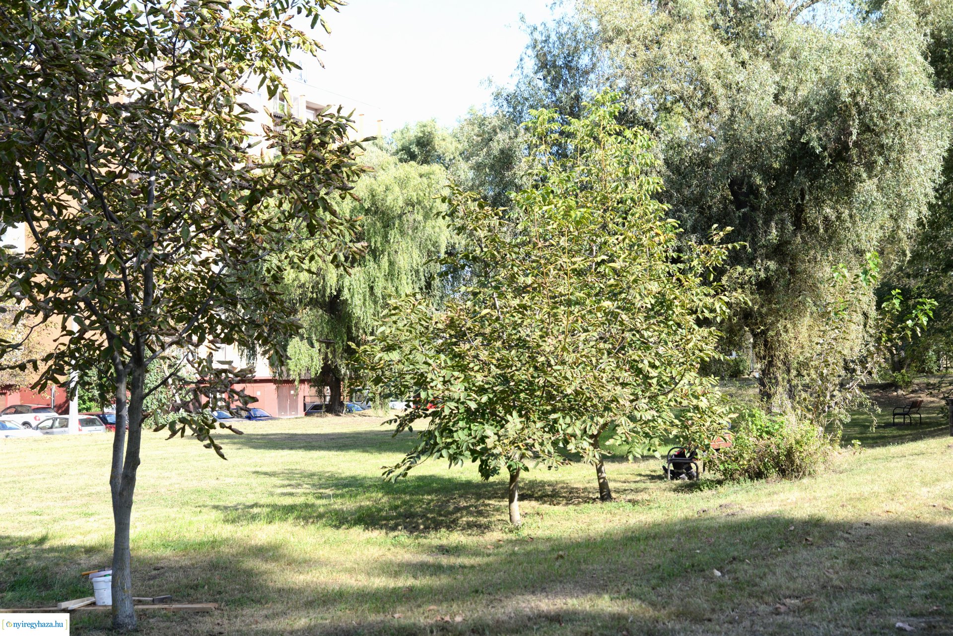 Faültetés a Szántó Kovács János utcai játszótéren