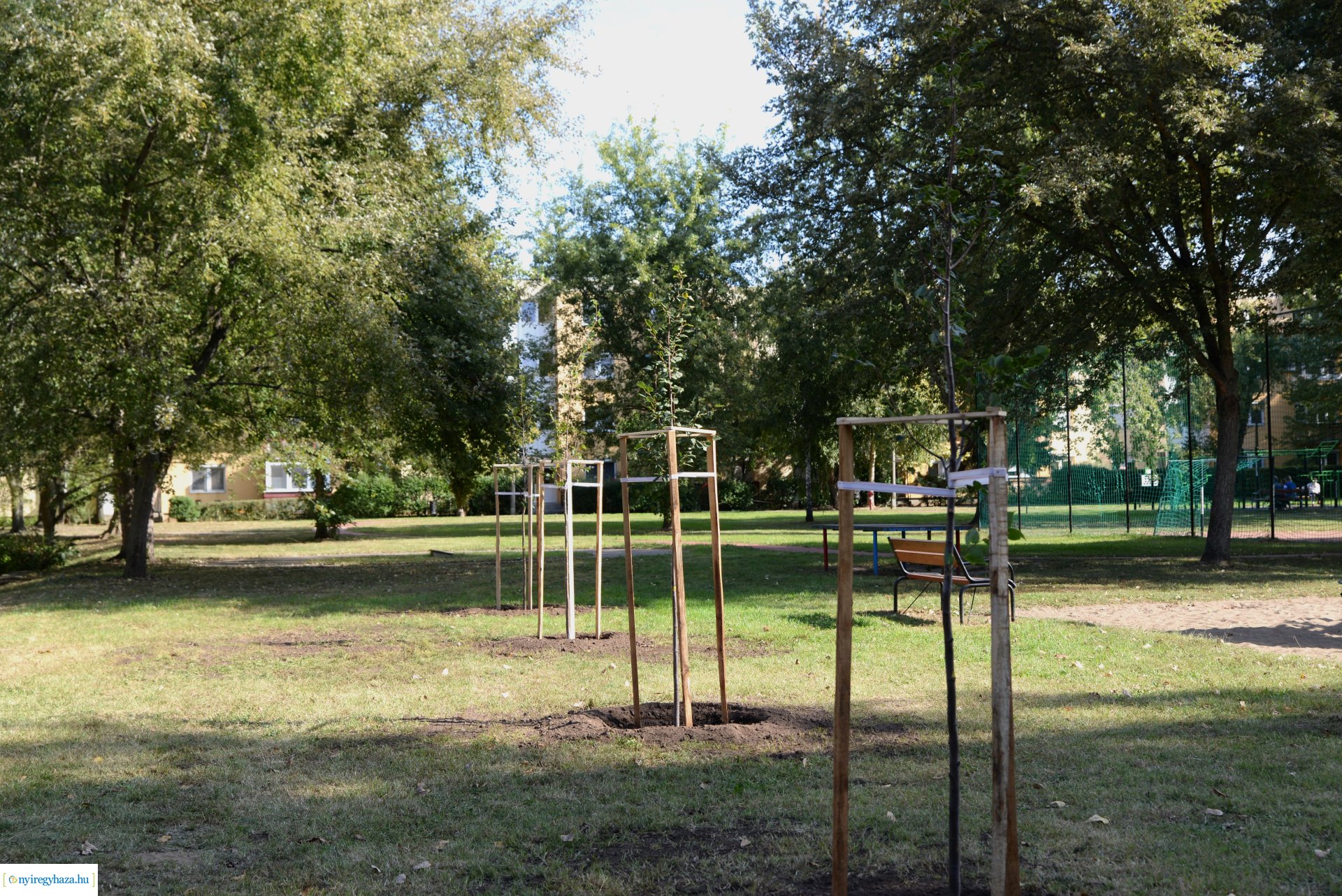 Faültetés a Szántó Kovács János utcai játszótéren
