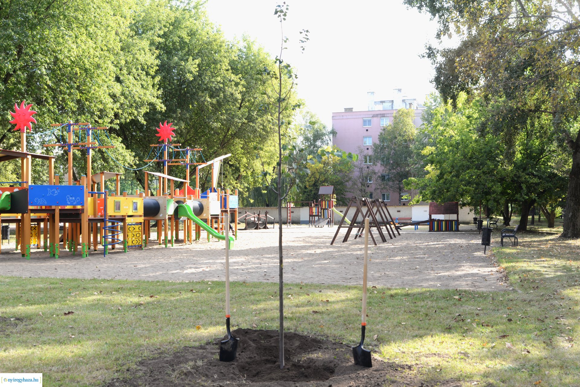 Faültetés a Szántó Kovács János utcai játszótéren