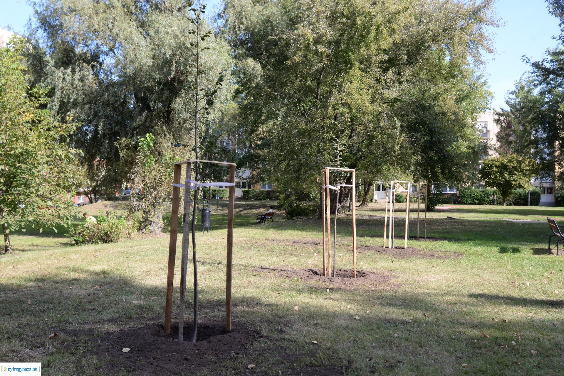 Faültetés a Szántó Kovács János utcai játszótéren