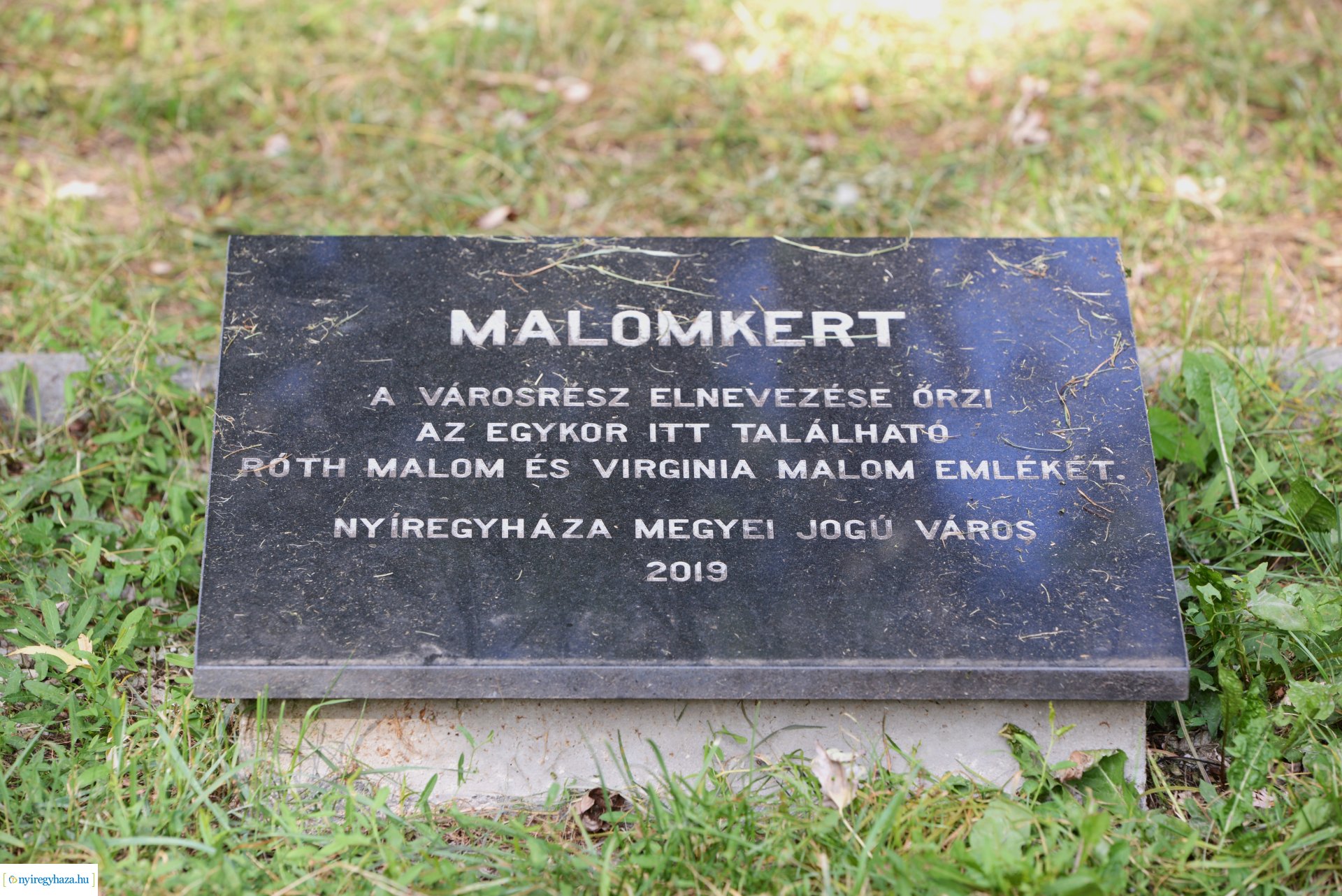 Faültetés a Szántó Kovács János utcai játszótéren