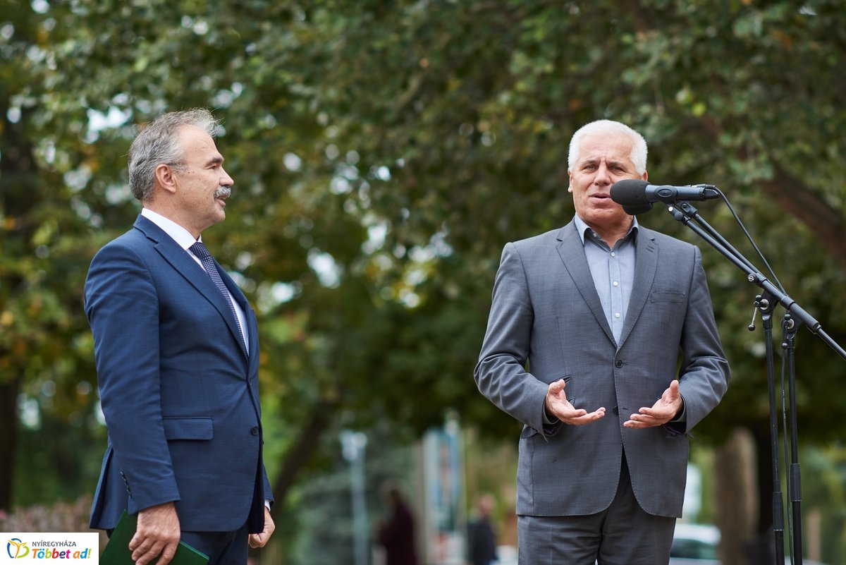 Faültetés a Széna téren