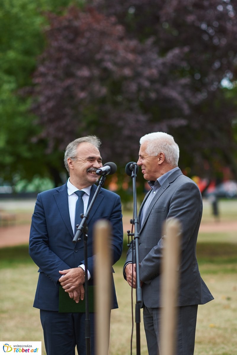 Faültetés a Széna téren