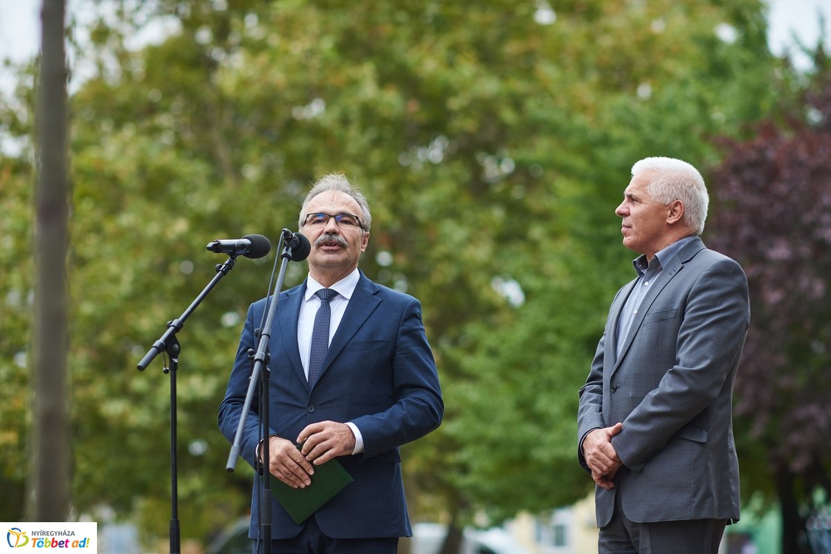 Faültetés a Széna téren