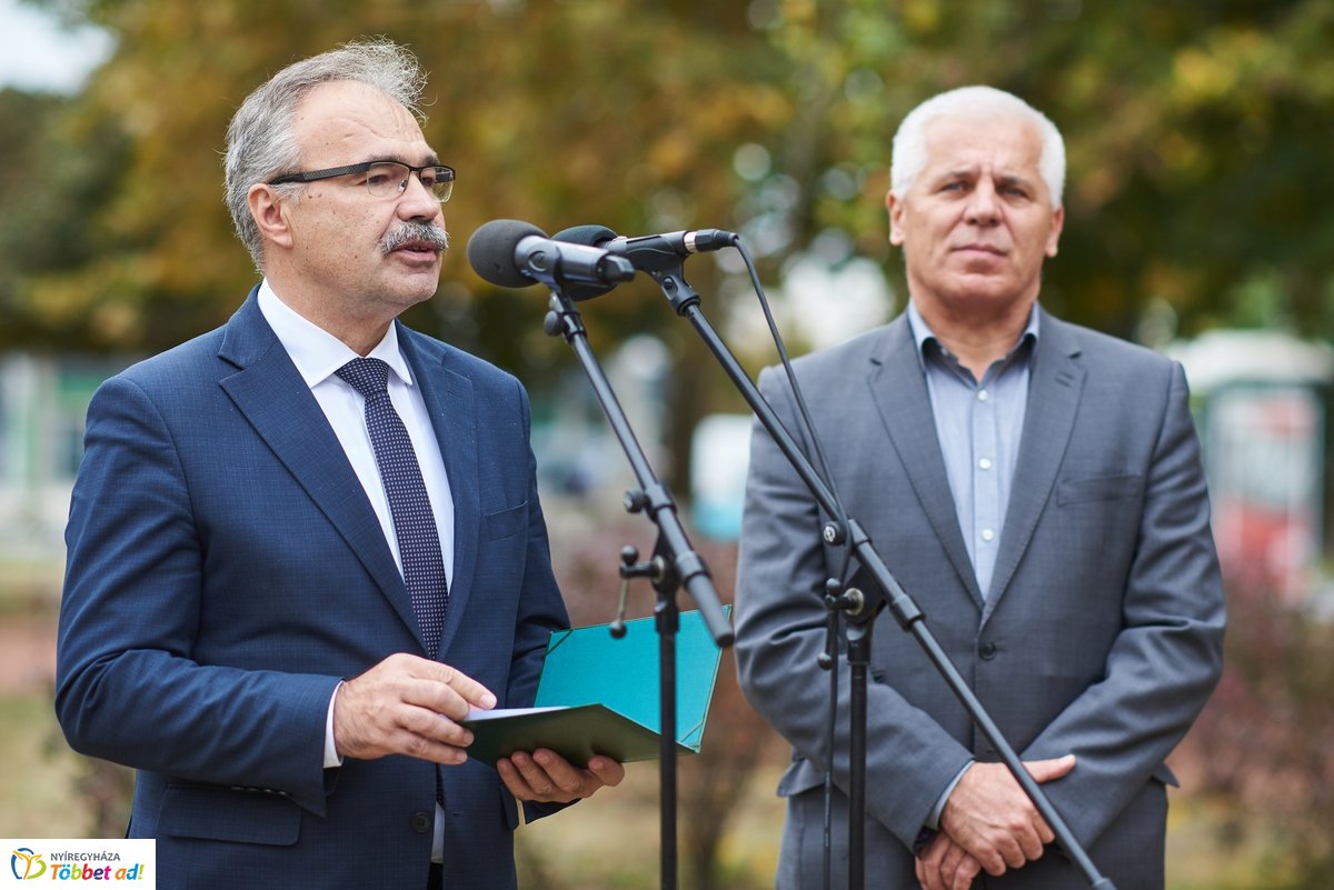 Faültetés a Széna téren