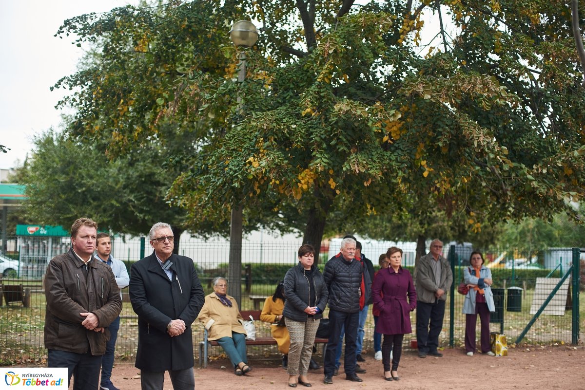Faültetés a Széna téren