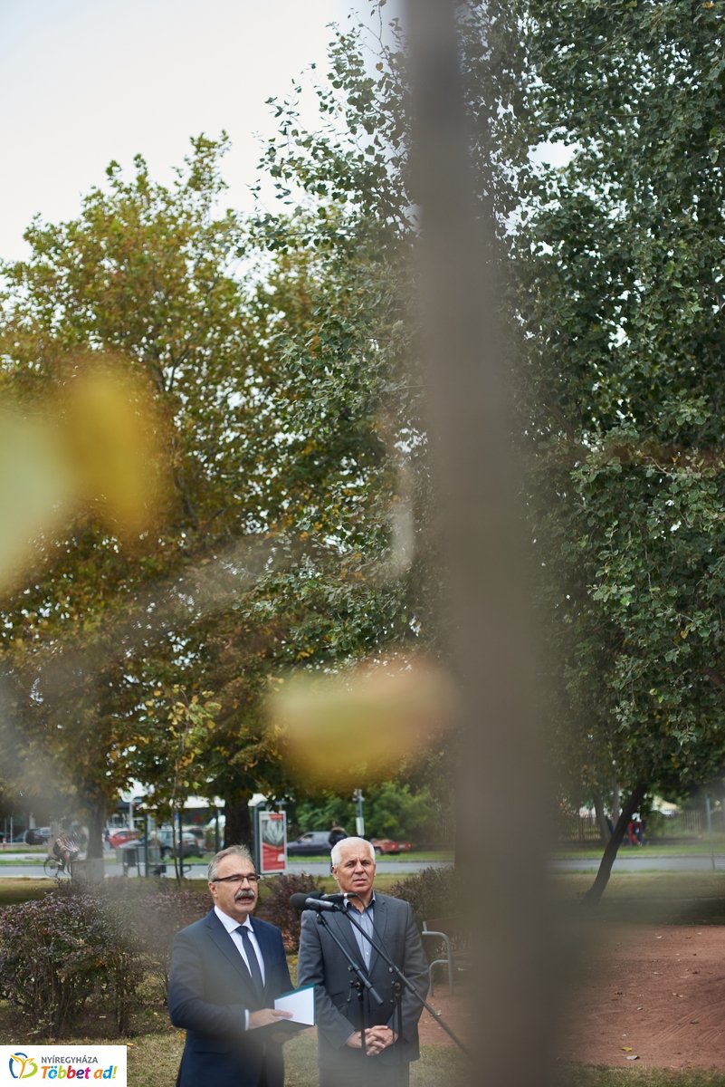 Faültetés a Széna téren