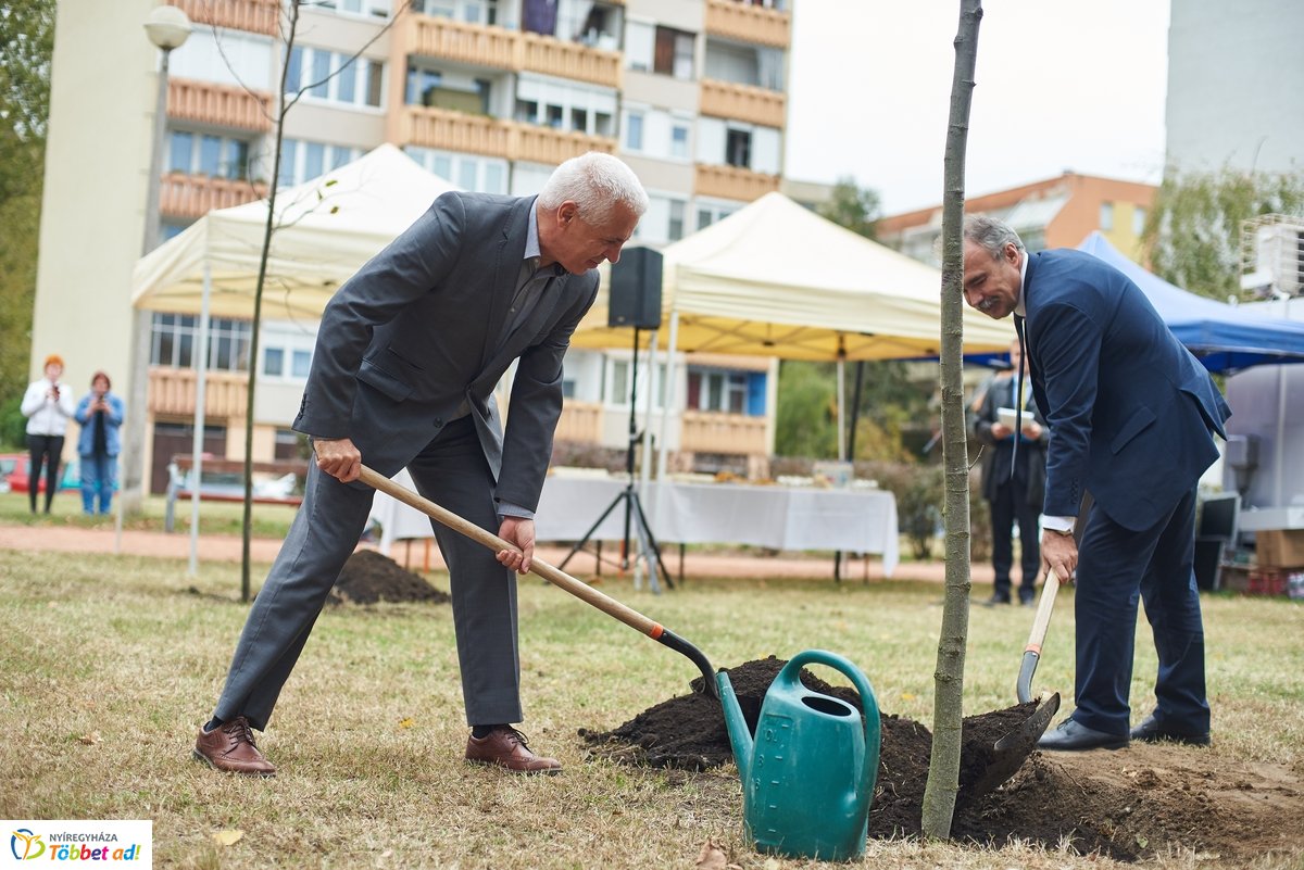 Faültetés a Széna téren
