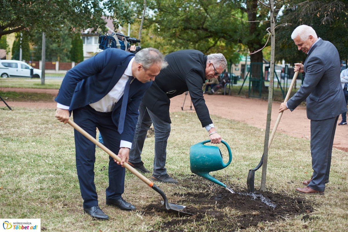 Faültetés a Széna téren