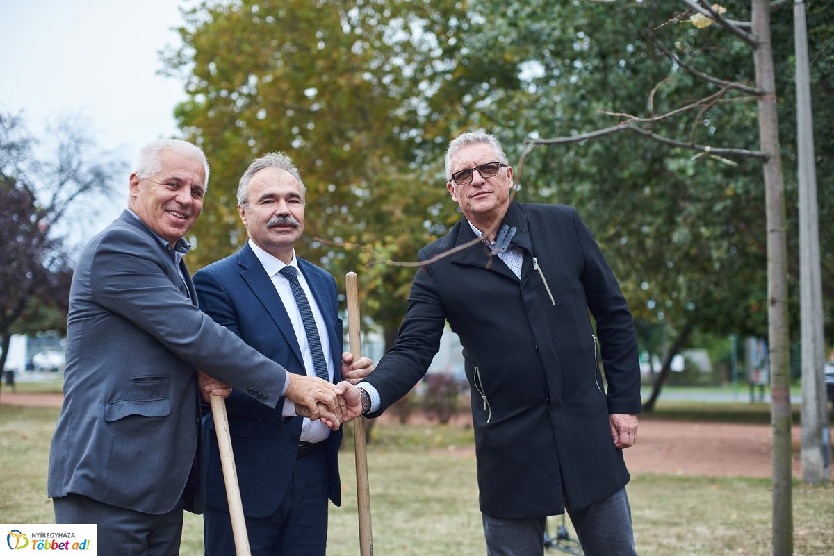 Faültetés a Széna téren