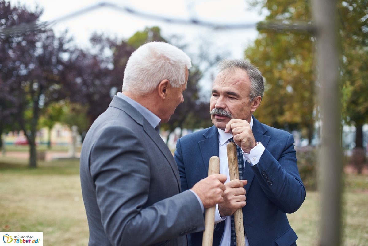 Faültetés a Széna téren