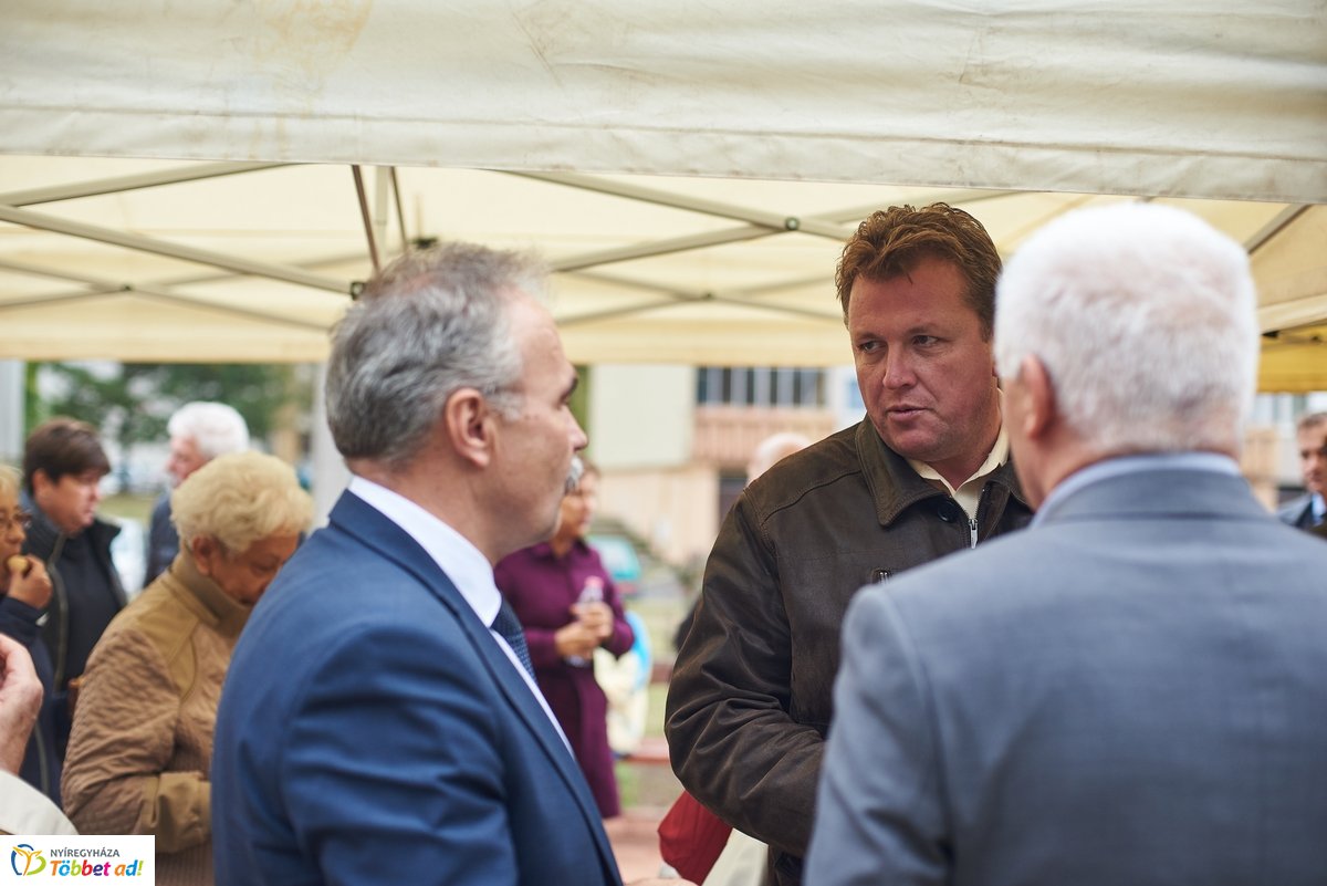 Faültetés a Széna téren