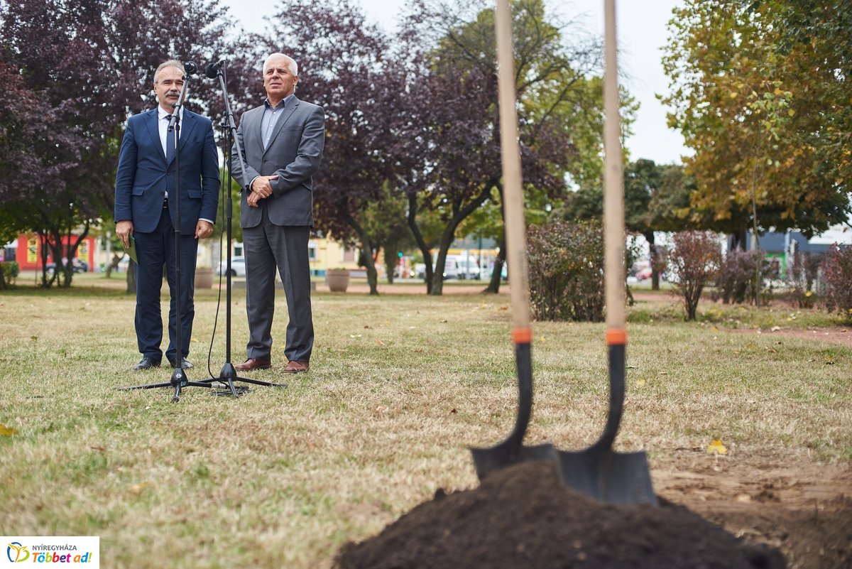 Faültetés a Széna téren