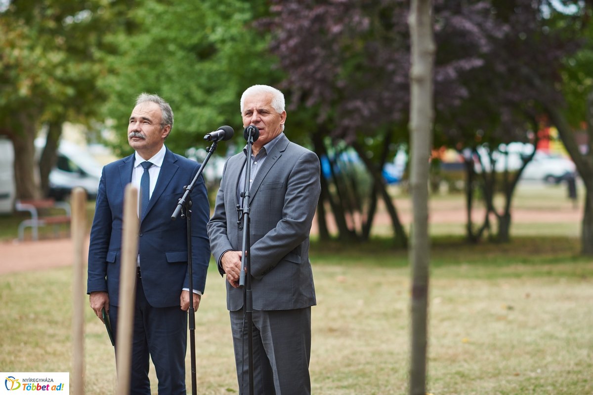 Faültetés a Széna téren