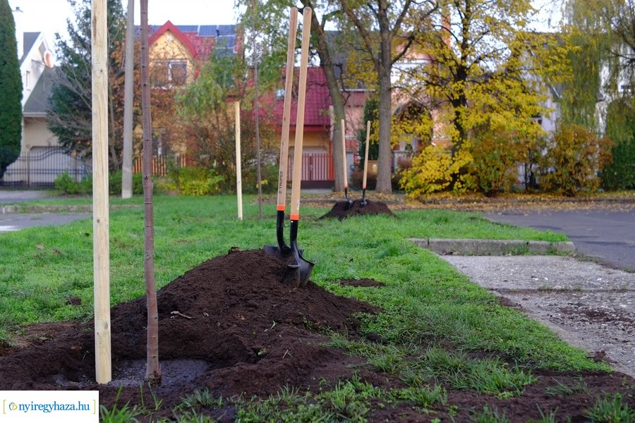 Faültetés a Törpe utcán